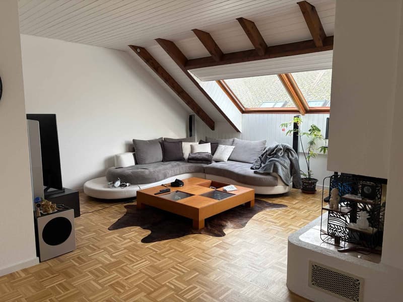 CHARME ET CACHET POUR CE SPACIEUX LOGEMENT DE 2,5 PIECES AU DERNIER ETAGE (3)