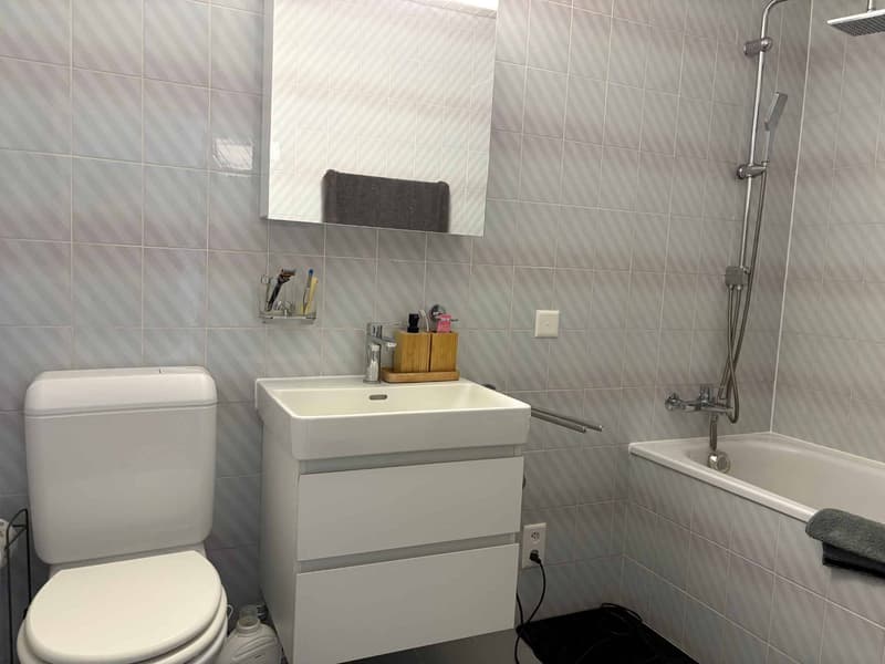 CHARME ET CACHET POUR CE SPACIEUX LOGEMENT DE 2,5 PIECES AU DERNIER ETAGE (7)