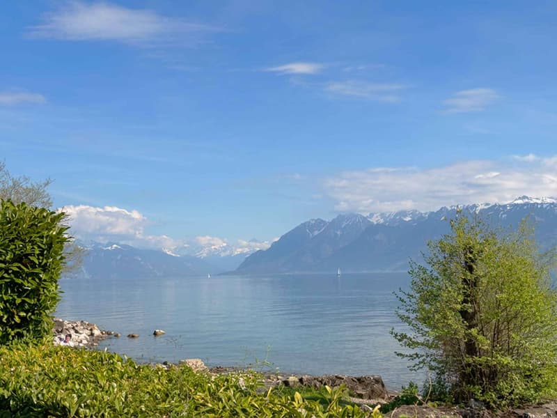 Appartement d'exception en première ligne du lac à Pully. Rare à la vente ! (2)