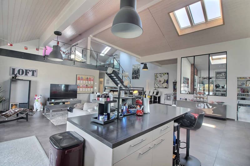 Appartement d'exception de 6,5 pièces ( style Loft ) - Volumes et matériaux nobles (5)