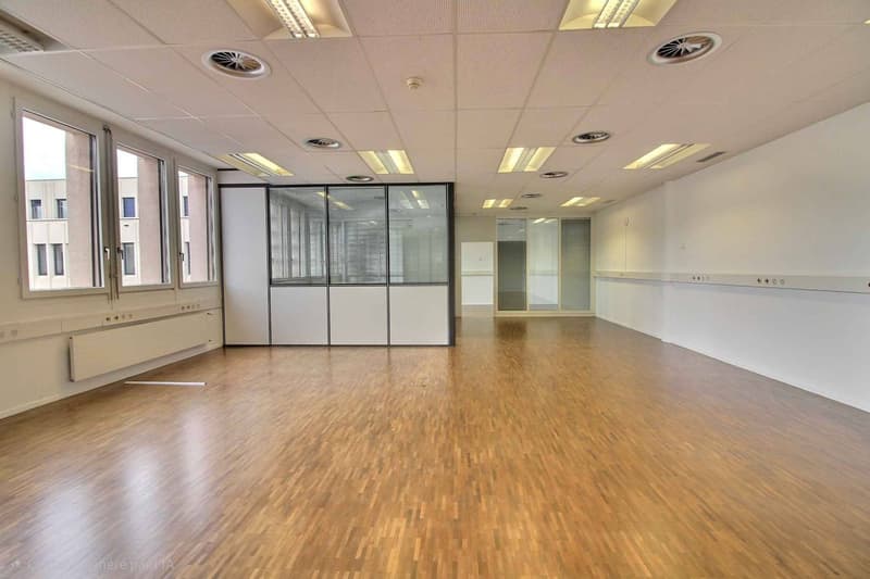 BELLE SURFACE ADMINISTRATIVE DE 186 M2 (2)
