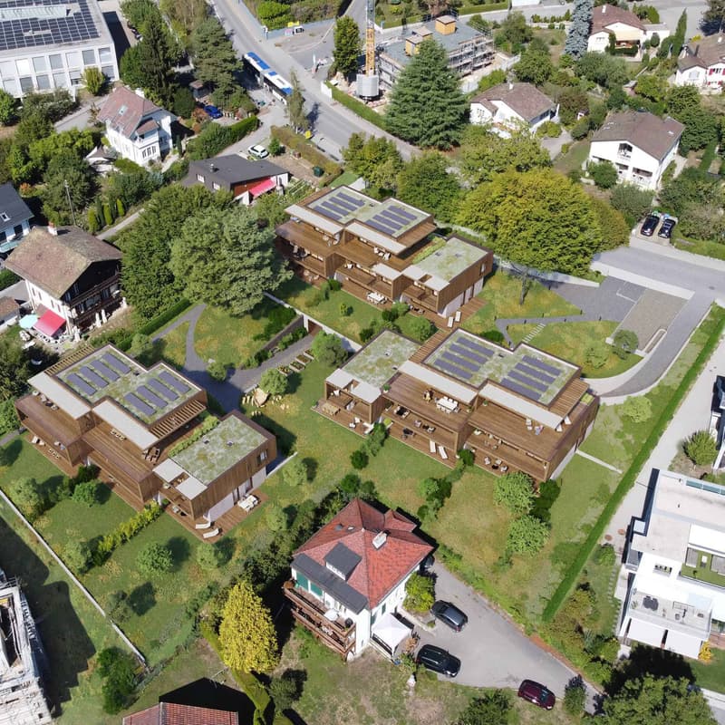 Derniers lots - Maison de ville neuve dans parc arboré (10)