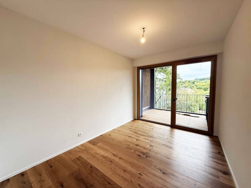 Derniers lots - Maison de ville neuve dans parc arboré (6)
