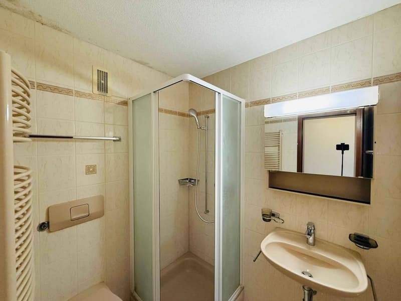 Appartement de 5.5 pièces avec vaste terrasse dans un cadre verdoyant (7)