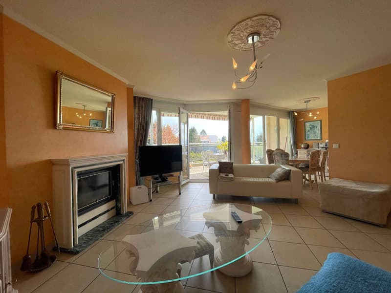 VASTE LOGEMENT DE 3,5 PIECES DE 98M2 AVEC GRANDE TERRASSE (3)