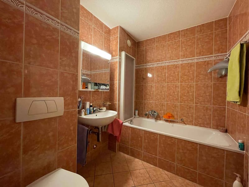 VASTE LOGEMENT DE 3,5 PIECES DE 98M2 AVEC GRANDE TERRASSE (6)