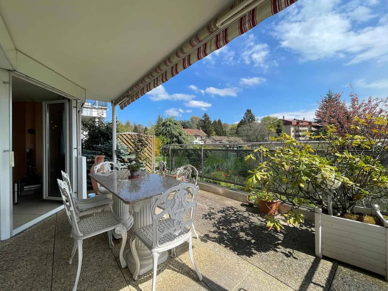 VASTE LOGEMENT DE 3,5 PIECES DE 98M2 AVEC GRANDE TERRASSE (1)