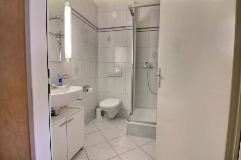 VASTE LOGEMENT DE 3,5 PIECES DE 98M2 AVEC GRANDE TERRASSE (5)