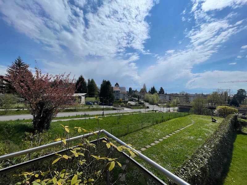VASTE LOGEMENT DE 3,5 PIECES DE 98M2 AVEC GRANDE TERRASSE (4)