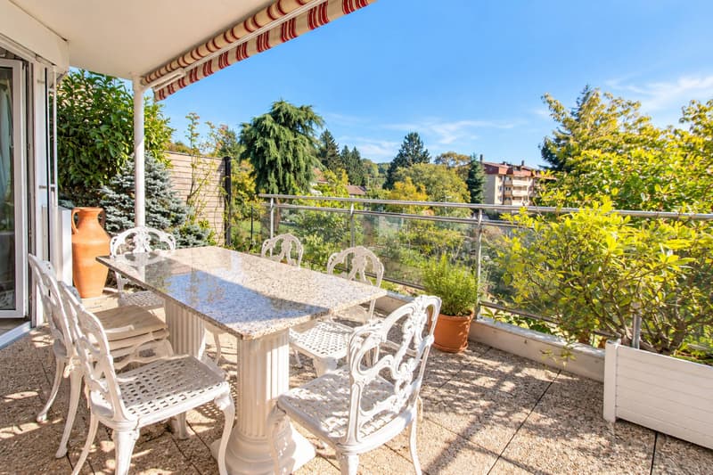 Bel appartement avec terrasse (6)