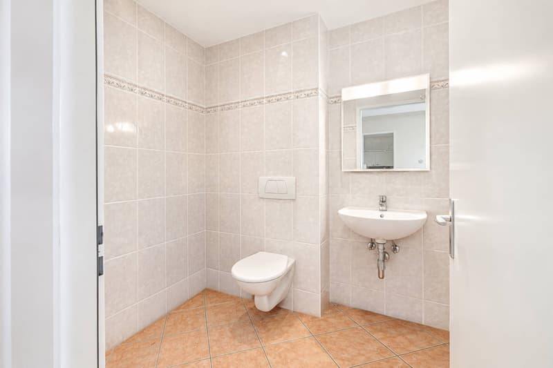 Bel appartement avec terrasse (7)