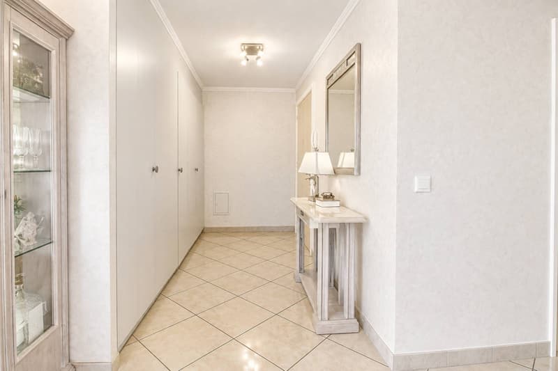 Bel appartement avec terrasse (5)