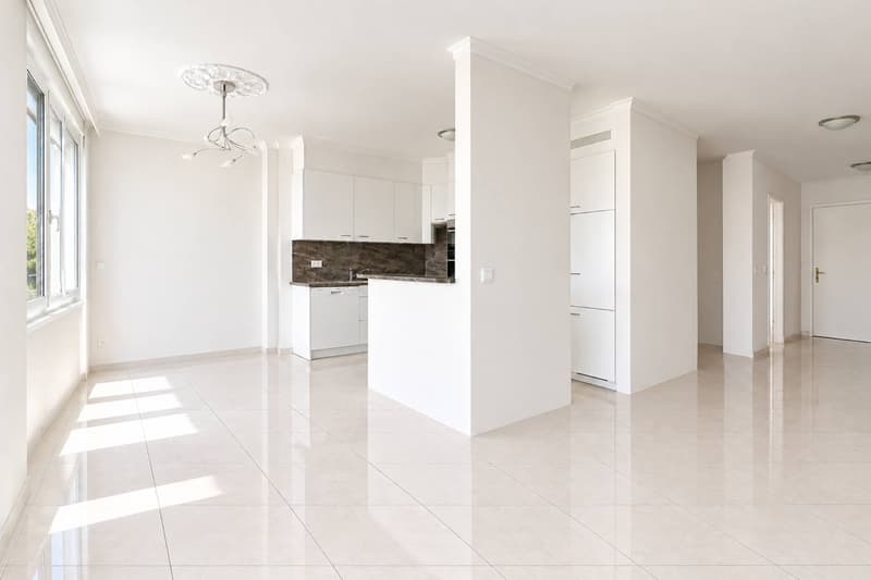 Bel appartement avec terrasse (2)