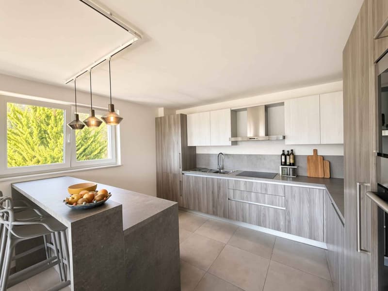 Lausanne : Appartement de 4.5 pièces verdoyant et au calme - (4)