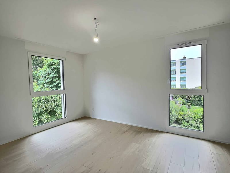 Nouvelle construction - Magnifiques logements modernes avec vue sur le lac (3)