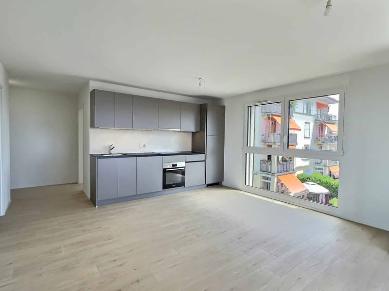 Nouvelle construction - Magnifiques logements modernes avec vue sur le lac (1)