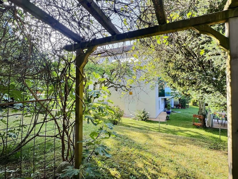 Spacieux logement entièrement rénové avec jardin privatif à Prilly (9)