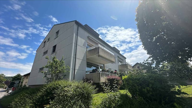 Magnifique logement entièrement rénové dans un quartier calme et résidentiel (1)
