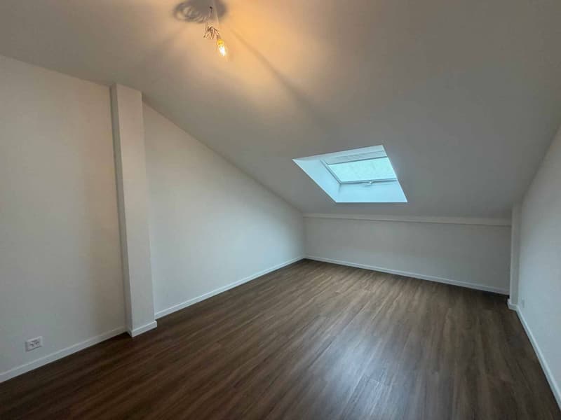 Magnifique logement entièrement rénové dans un quartier calme et résidentiel (4)