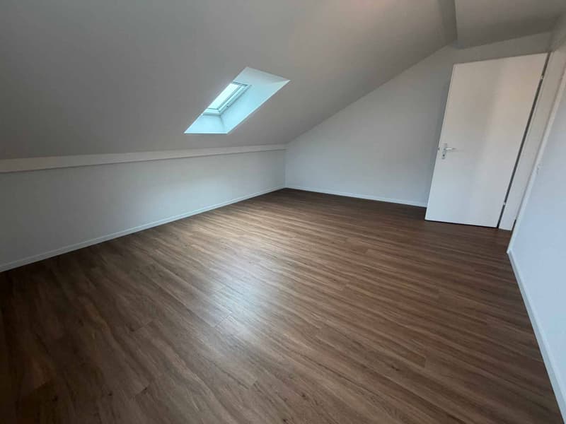 Magnifique logement entièrement rénové dans un quartier calme et résidentiel (2)
