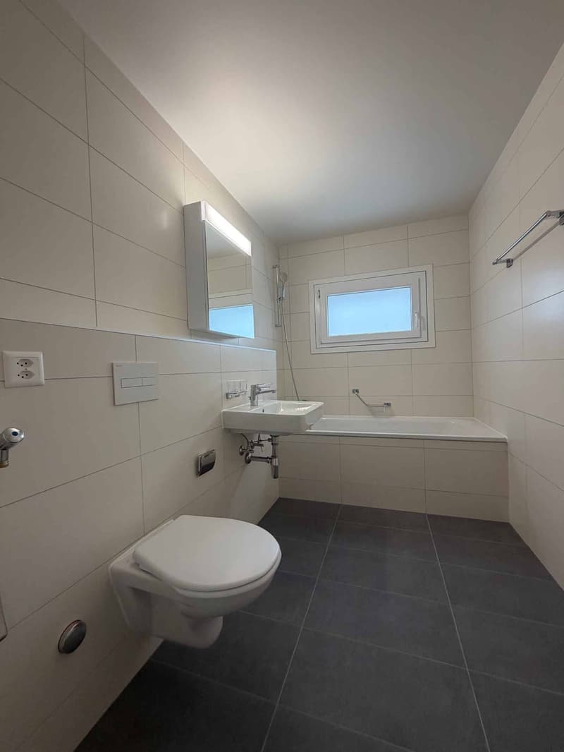 Magnifique logement entièrement rénové dans un quartier calme et résidentiel (3)
