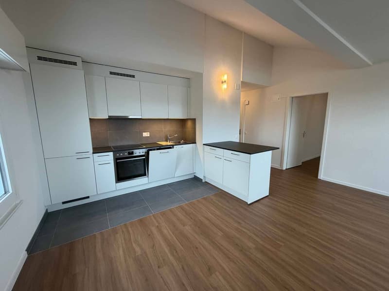 Magnifique logement entièrement rénové dans un quartier calme et résidentiel (6)