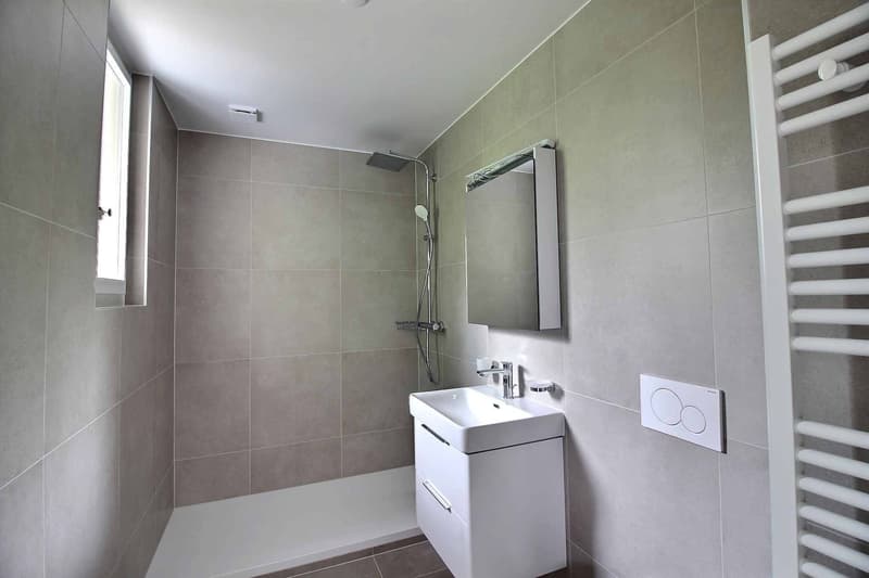 Superbe appartement entièrement rénové avec vue imprenable sur le lac (5)