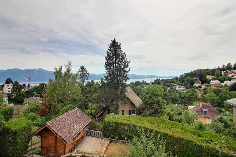Superbe appartement entièrement rénové avec vue imprenable sur le lac (7)