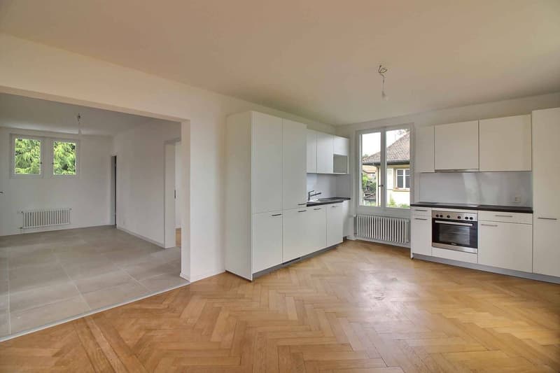 Superbe appartement entièrement rénové avec vue imprenable sur le lac (2)