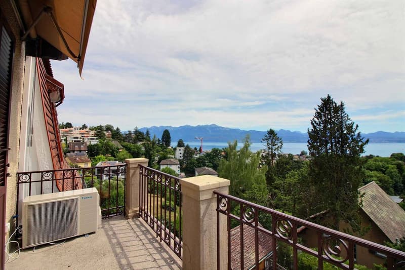 Magnifique appartement en duplex entièrement rénové avec vue imprenable sur le lac (2)