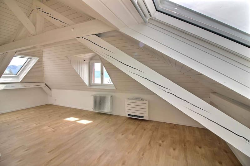 Magnifique appartement en duplex entièrement rénové avec vue imprenable sur le lac (10)