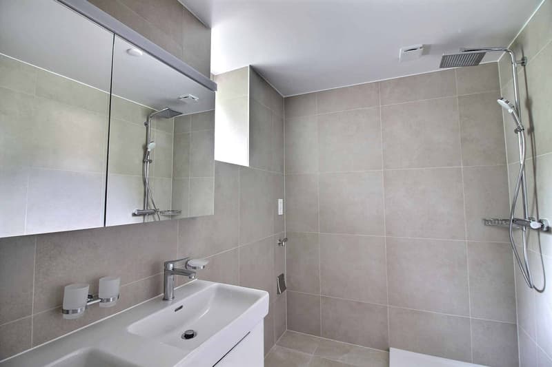 Magnifique appartement en duplex entièrement rénové avec vue imprenable sur le lac (8)