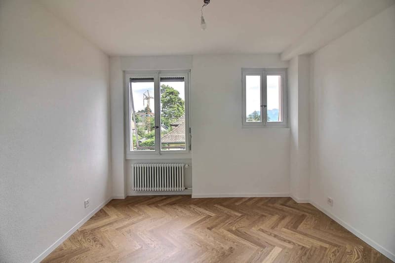 Magnifique appartement en duplex entièrement rénové avec vue imprenable sur le lac (6)