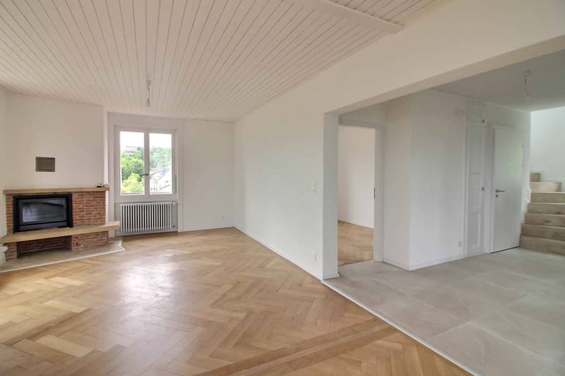Magnifique appartement en duplex entièrement rénové avec vue imprenable sur le lac (5)
