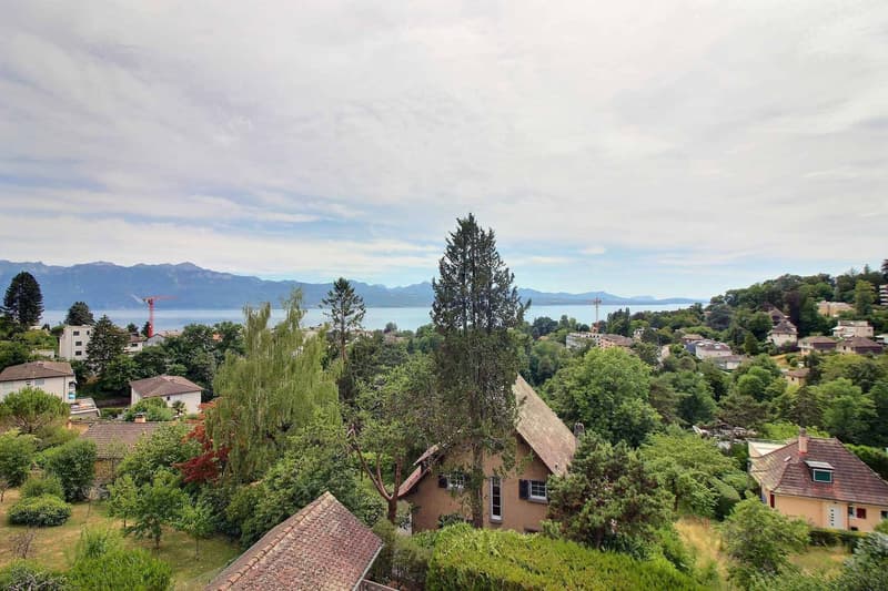 Magnifique appartement en duplex entièrement rénové avec vue imprenable sur le lac (1)