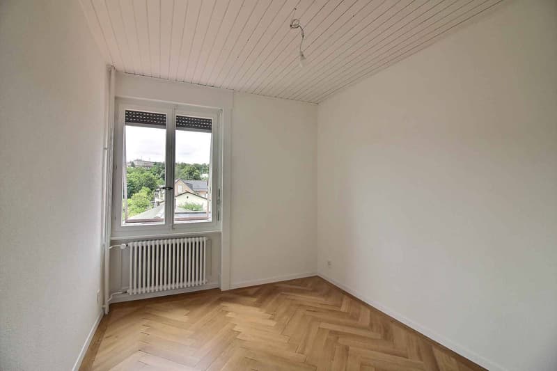 Magnifique appartement en duplex entièrement rénové avec vue imprenable sur le lac (7)
