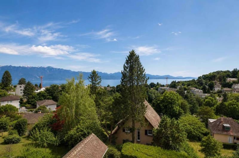 Magnifique appartement en duplex entièrement rénové avec vue imprenable sur le lac (1)