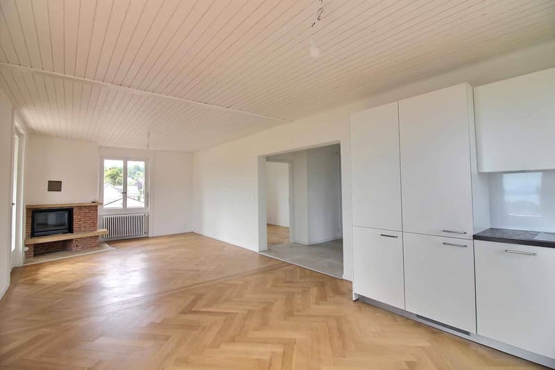 Magnifique appartement en duplex entièrement rénové avec vue imprenable sur le lac (4)