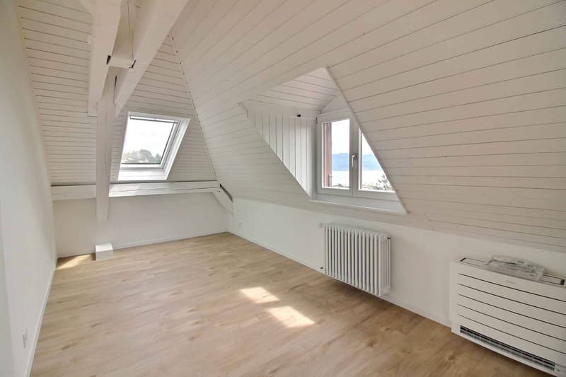 Magnifique appartement en duplex entièrement rénové avec vue imprenable sur le lac (9)