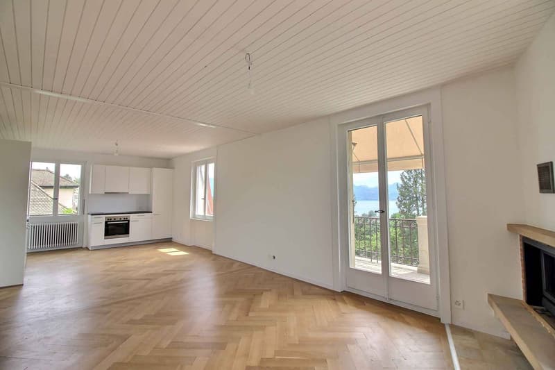 Magnifique appartement en duplex entièrement rénové avec vue imprenable sur le lac (3)