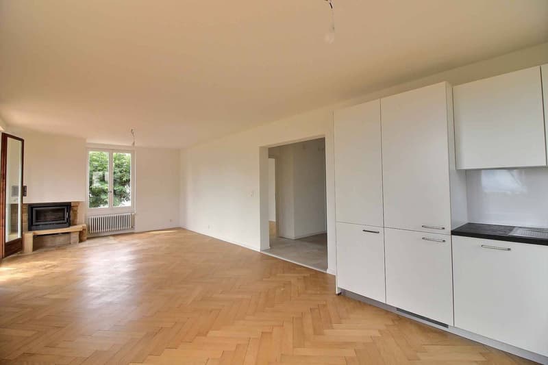 Magnifique appartement avec terrasse, grand jardin privatif et vue sur le lac Lausanne (3)