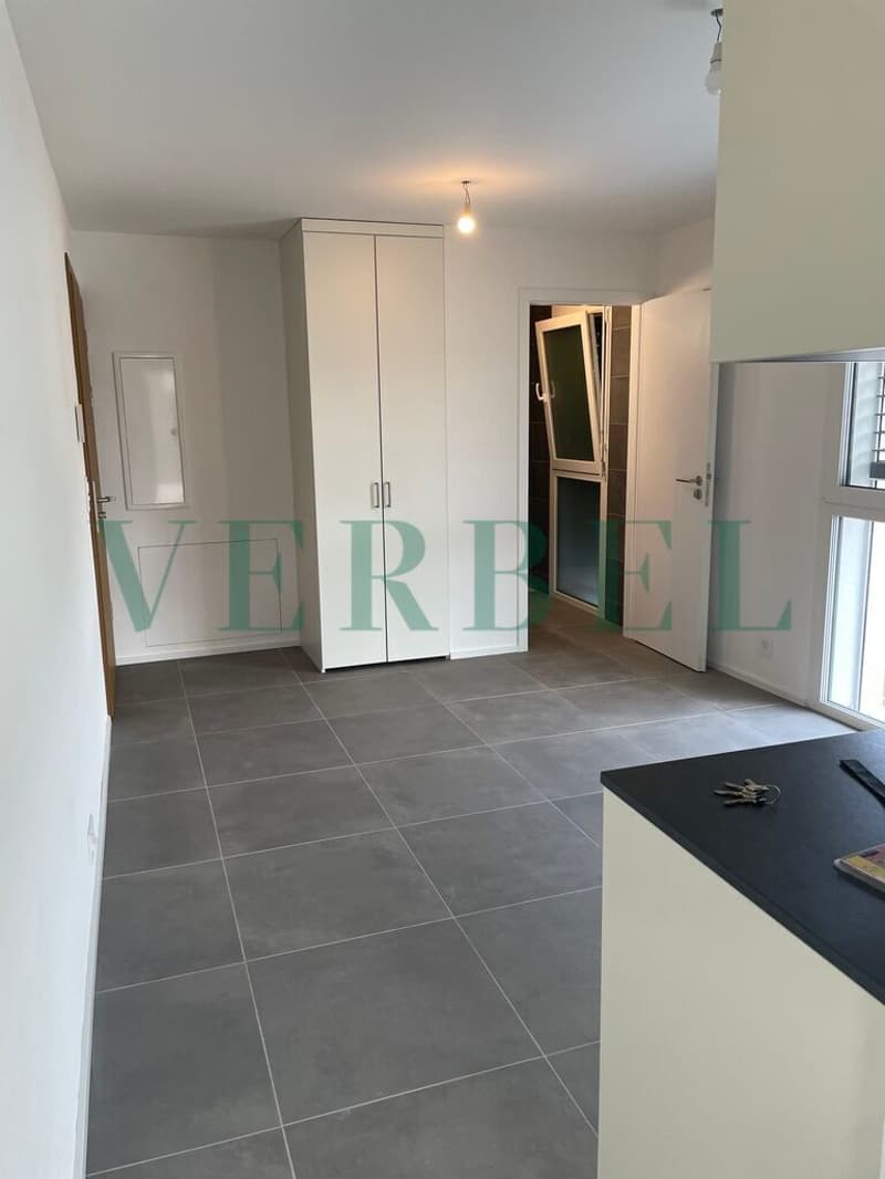 Studio lumineux à louer à proximité de l'EHL (8)