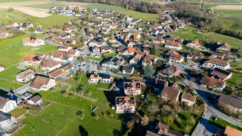 Calme, espace et qualité de vie aux portes de Lausanne (11)