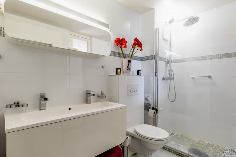 Duplex en rez-de-jardin avec vue lac (10)