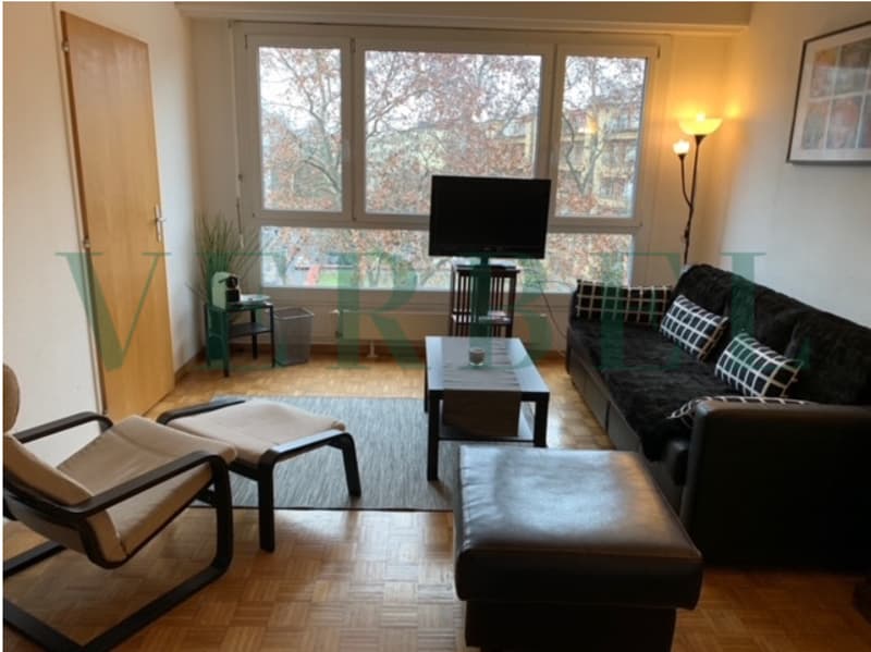 À louer - Studio meublé de 1,5 pièce à Genève (3)