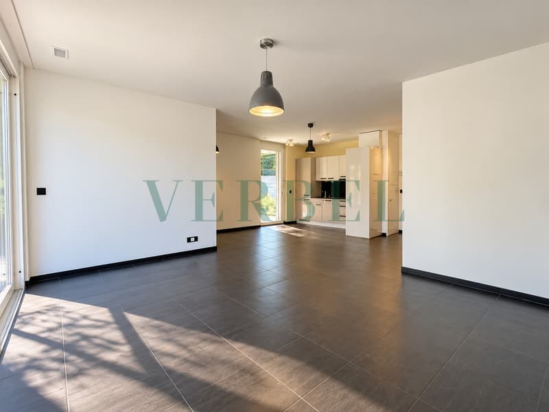 Attique lumineux avec magnifique terrasse (2)