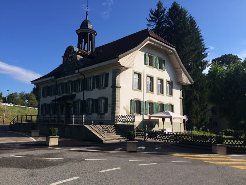Local commercial dans les combles de l'ancien collège (10)