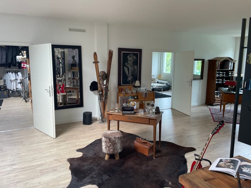 Très bel espace situé dans une Z.I. à Préverenges (4)