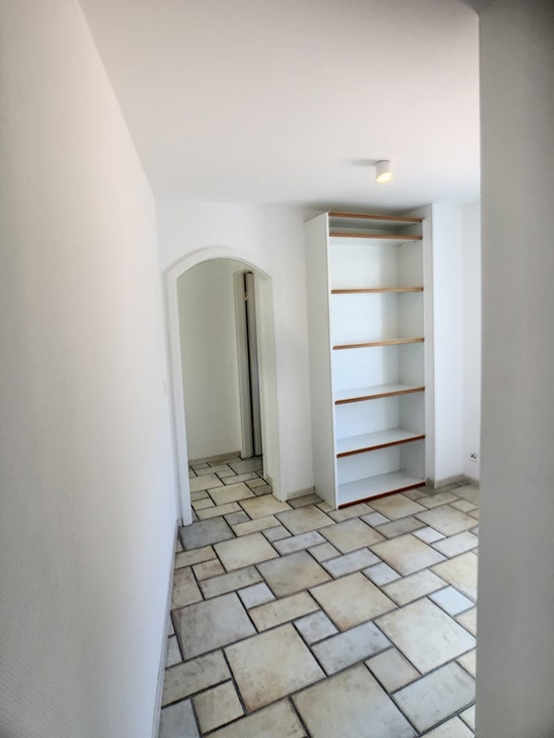 Magnifique appartement de 5.5 pièces (11)