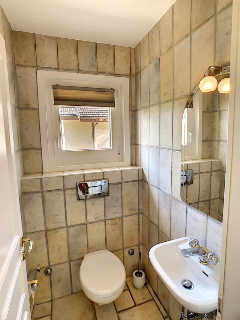 Magnifique appartement de 5.5 pièces (6)